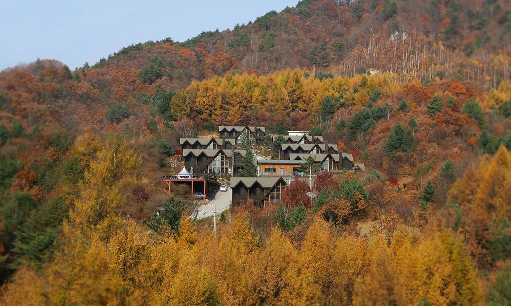 Chalet Resort Pyeongchang Bagian luar foto